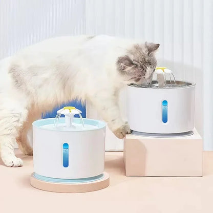 Cat water fountain