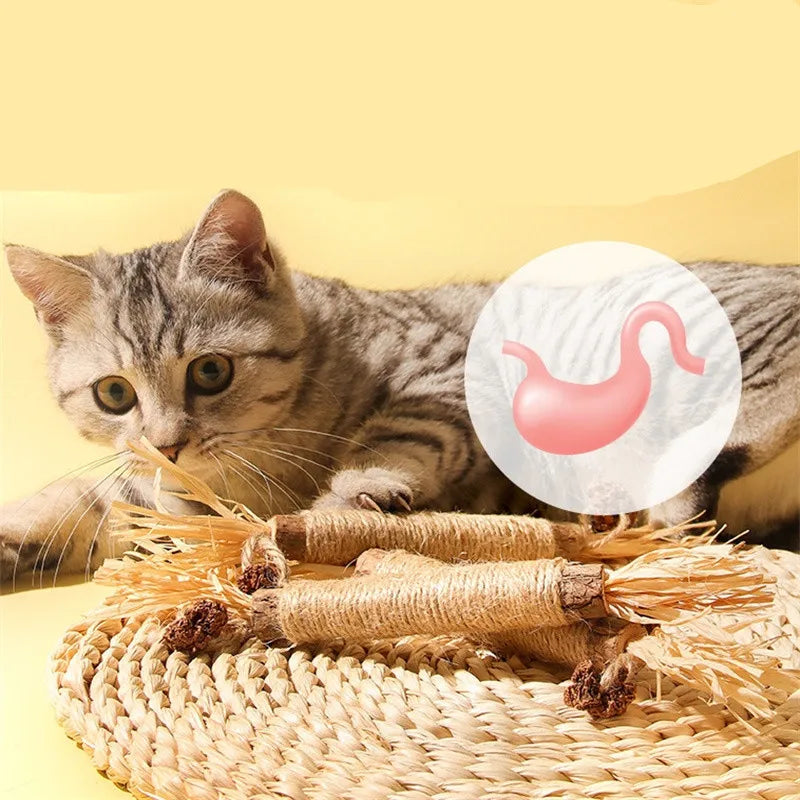 Tooth Catnip Cat Toys