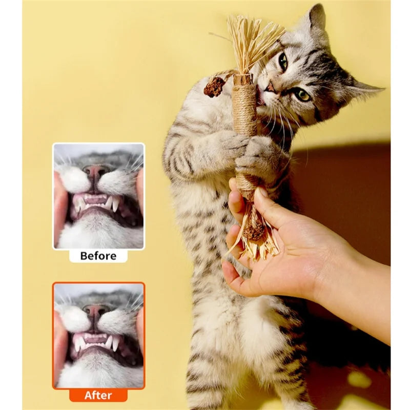 Tooth Catnip Cat Toys