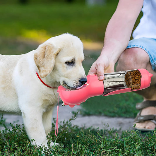 Dog feeder